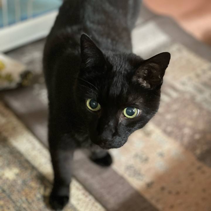 Ca682475 8fa4 4815 a1a5 d9a3fe9782c2 1652320699629