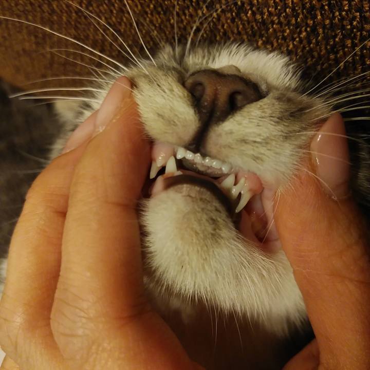 Ca683ca1 261d 4bc1 a222 45c7132a8ca3 1569319063838