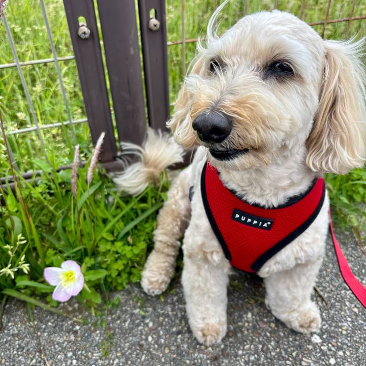 Ca684658 d275 41a1 a8c0 bd7a93b669d0 1776499155517