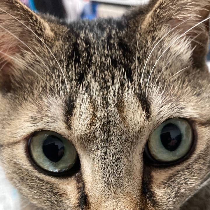 Ca687570 cb88 4840 b49a 7f8a02df59e6 1771028334024