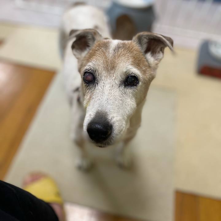 Ca687e89 c4af 4471 ac1a 98e9f79757f4 1667515638450