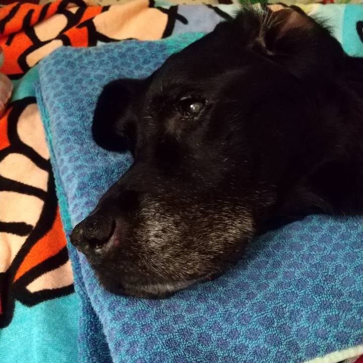 Ca68979f d312 4e5f 9f66 6e5b8c7118fd 1726367878570