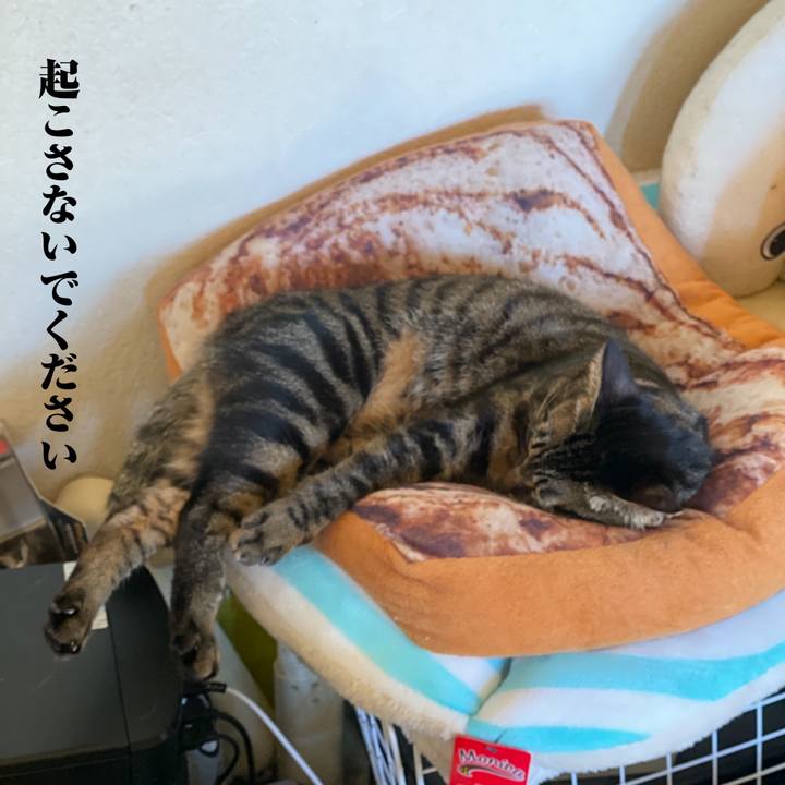 Ca68b3a0 f460 4558 8e89 9bc30613f5ed 1574914200383