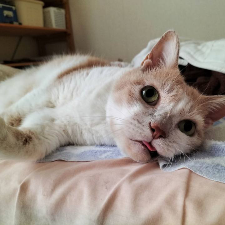 Ca68c224 b9f1 437c bb4a cd1ecd662c8f 1633300722145