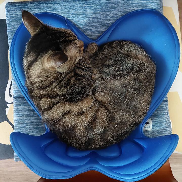 Ca68c764 415c 4f69 9ac0 c7fbac8dc5dd 1665443820568