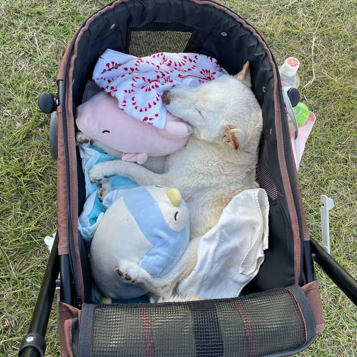 Ca68c955 800c 4a62 9df8 28aabd47b9d0 1669380201084