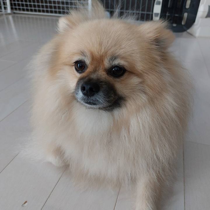 Ca69059f 1955 4d53 b2a1 ab54dc1ed7fb 1666608362292