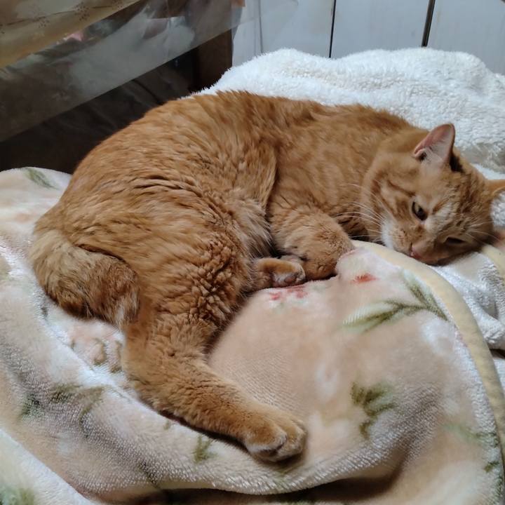 Ca690f55 87c1 4d99 9958 154201122a35 1702373817271