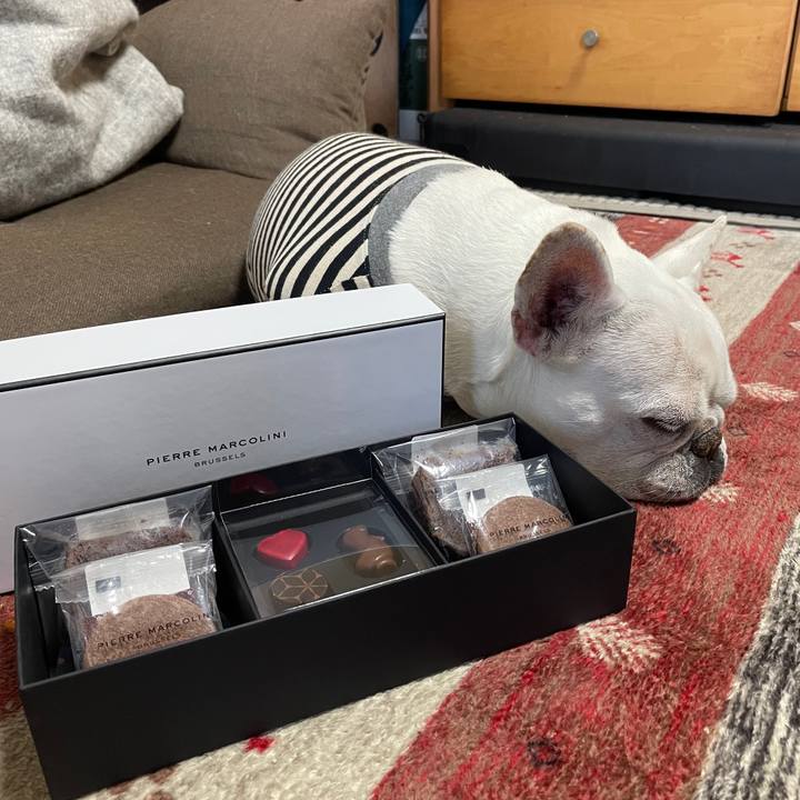 Ca6929c3 66fc 4241 8cd6 c554afc8b7fb 1741818486320