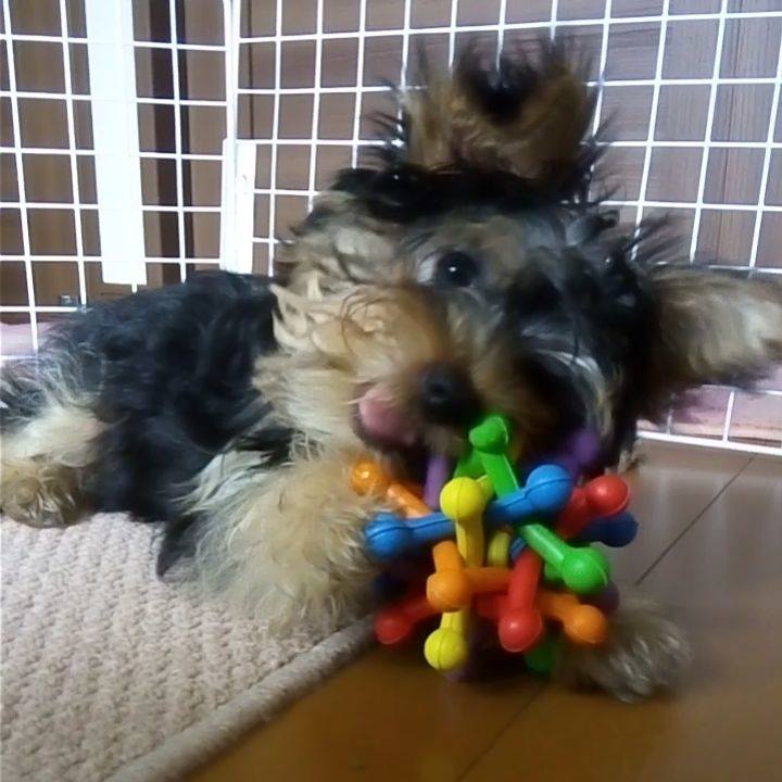 Ca695941 f985 4fe6 8699 3a86e8cb14c2 1533508562299