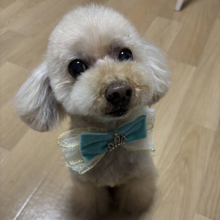 Ca695e72 751d 4092 9d68 311f60bbf589 1770308698066