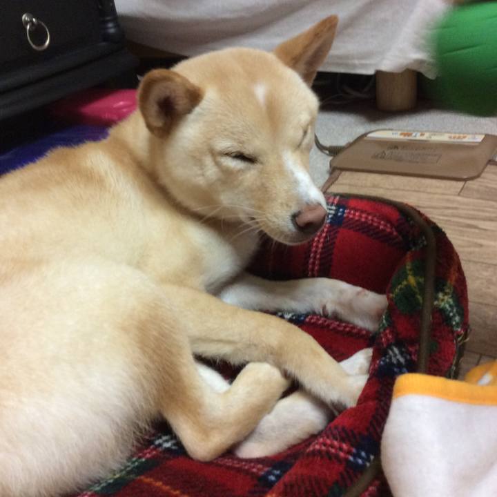 Ca697e64 bf0c 4b76 9630 10d0837ded92 1508505413120