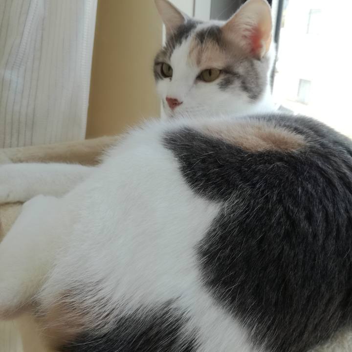 Ca698409 4c92 445e 9fbe 3f6f9f2bc3b5 1520404077997