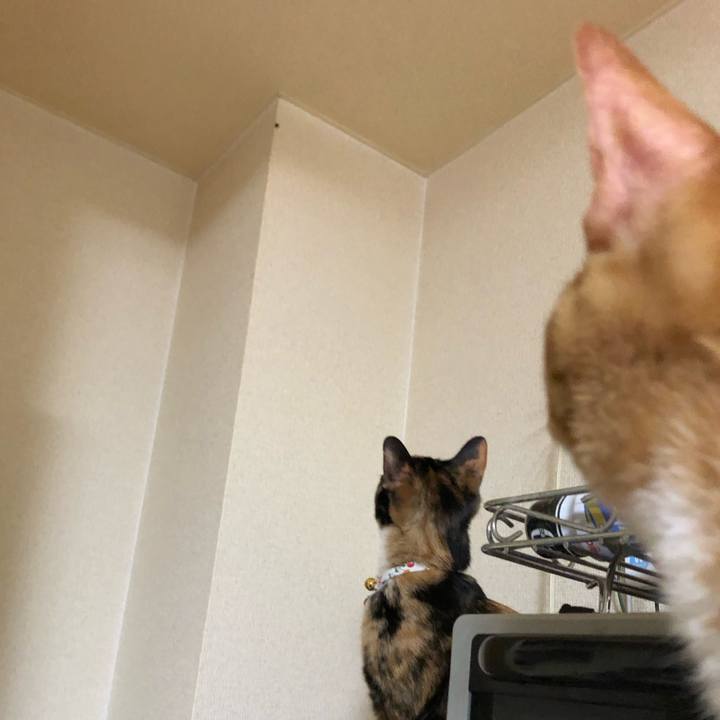 Ca69a664 d86e 435e 884a aeeee04eb970 1568199305955