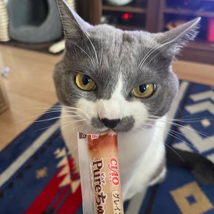 Ca6a1de2 0319 4a96 ba10 a72b0563870a 1666678689704