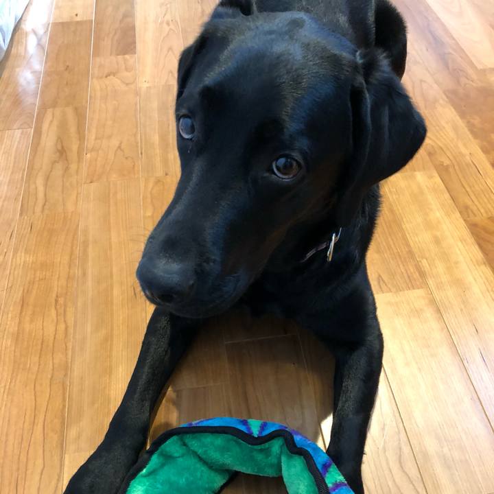 Ca6a4cca a4bc 43db b71e 07b9a8358bbb 1559789942134