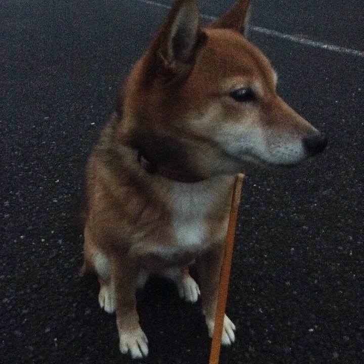 Ca6a51f9 f14c 4693 b135 6c7d5384de56 1511001970252