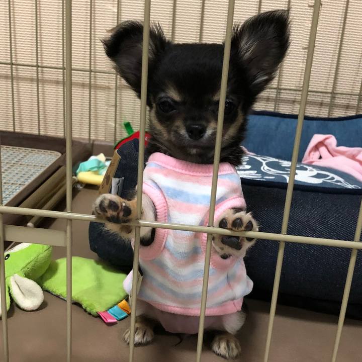 Ca6a917d e730 4717 a234 2231dce550c7 1535169039701