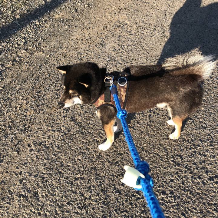 Ca6aa82f b708 4380 9984 5c39a24d833e 1590917150371