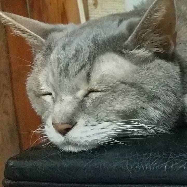 Ca6ab7bf e1a1 48a2 b85a aaa4fa8cab5d 1698429892319