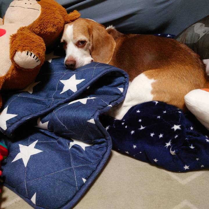 Ca6ac996 444b 4330 bc22 d3ea5ec19456 1755948758424