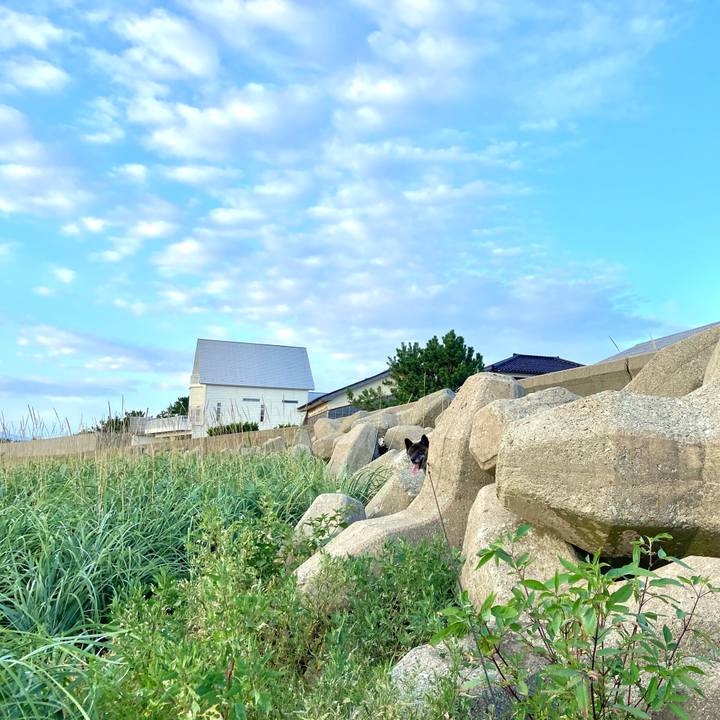 Ca6ad071 d107 4448 b3b9 8ef542ac4f9e 1598089429951