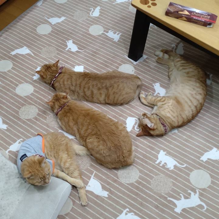 Ca6aed97 c65c 4094 8abc 0a994ad1af6e 1709553332466