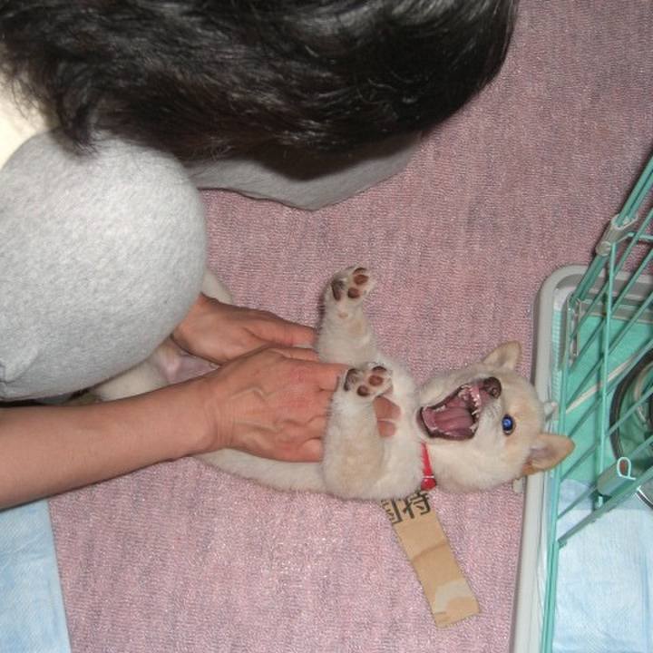 Ca6af985 c5bd 4d8f 9241 18fbb3f54c64 1637591922079