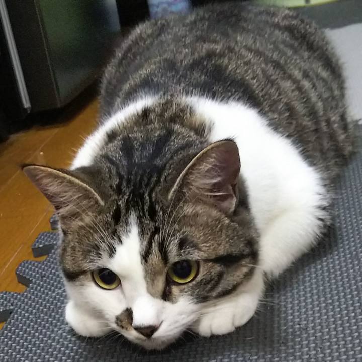 Ca6afedf 23d7 4bb6 83d9 98955cd31d1c 1622814664228