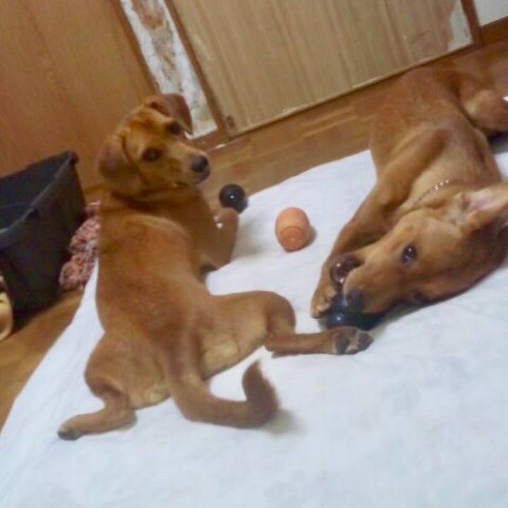 Ca6b0b88 6ff2 4ce3 ad6e 5ea99bce5637 1516167827721