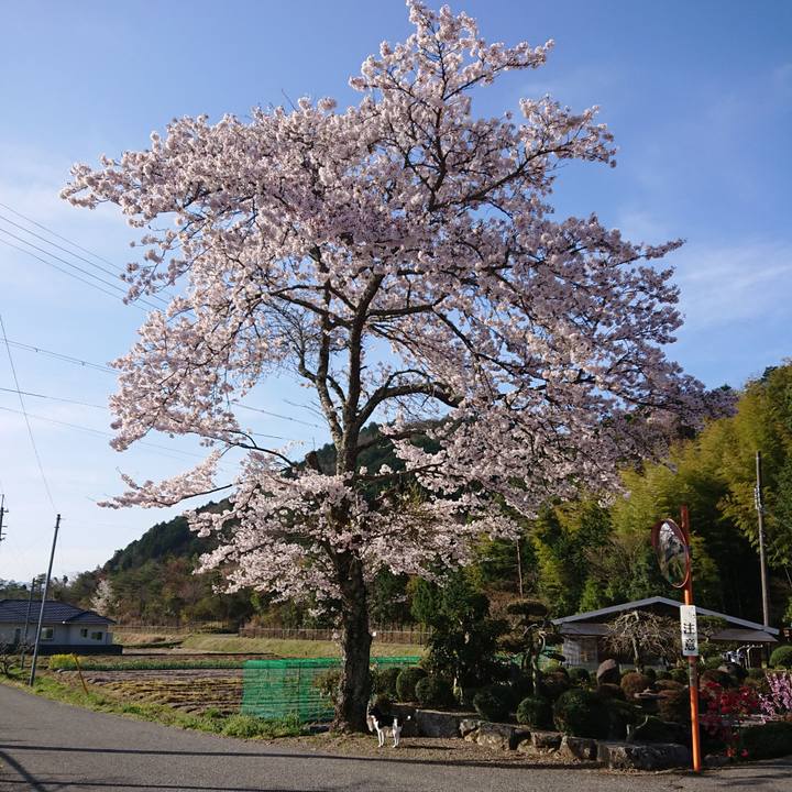 Ca6b118a 3892 43b1 8ff2 5bd227f8d70a 1617233249323