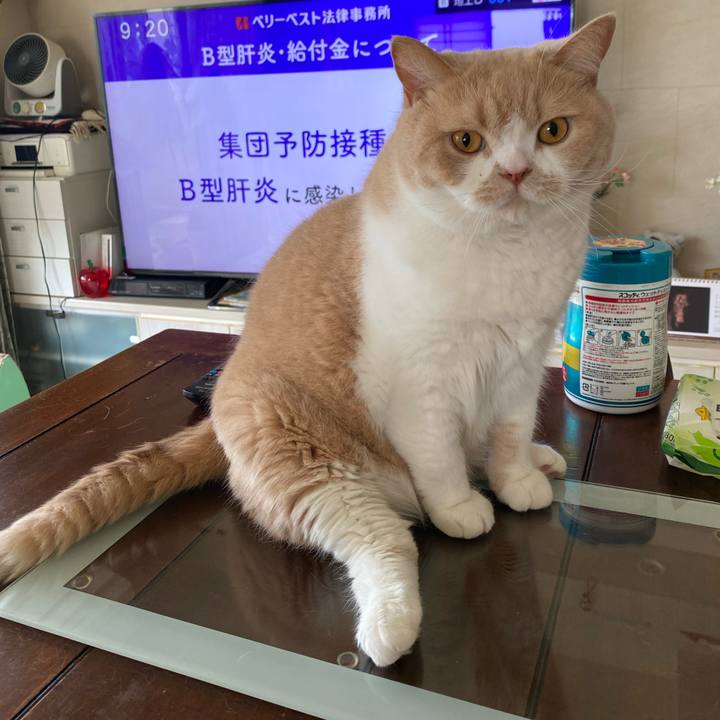 Ca6b2367 1e67 43e6 a020 4de67d980a75 1661133241240