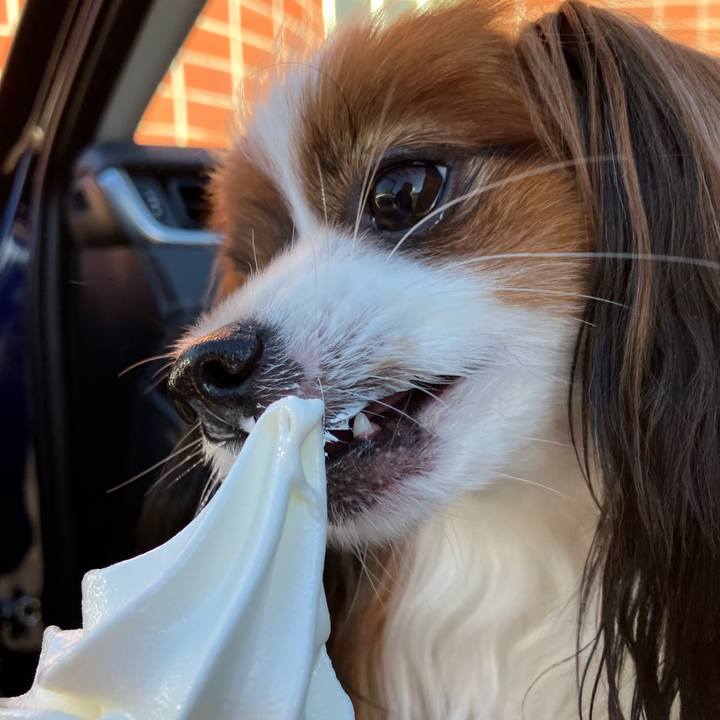 Ca6b2745 a1d9 40f6 a904 0f0b034ea1c2 1728187749511