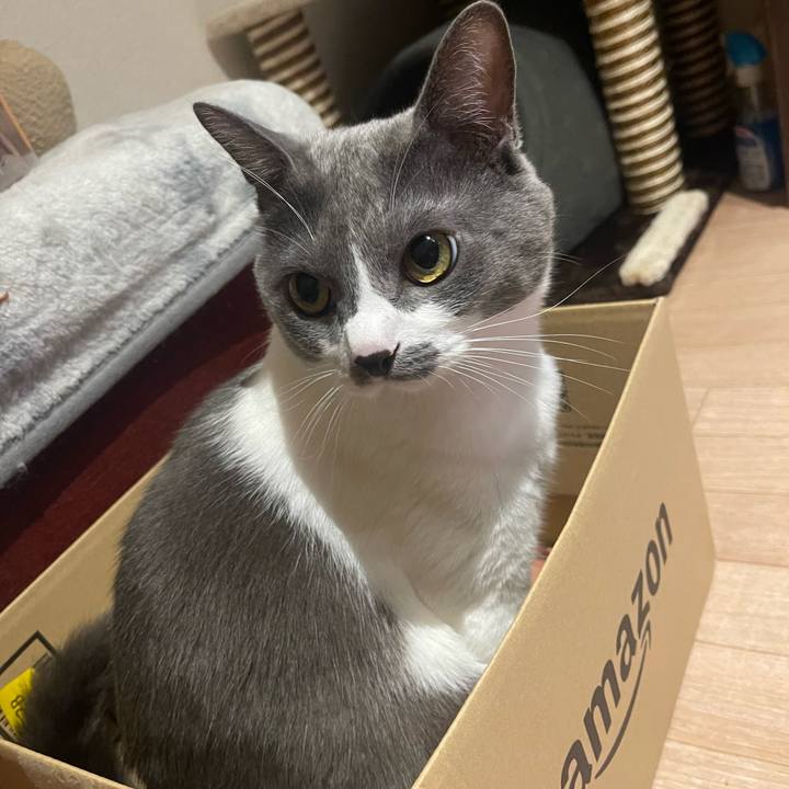 Ca6b80f1 41a8 4e49 8bc5 ea7bb14bb83f 1664453946732