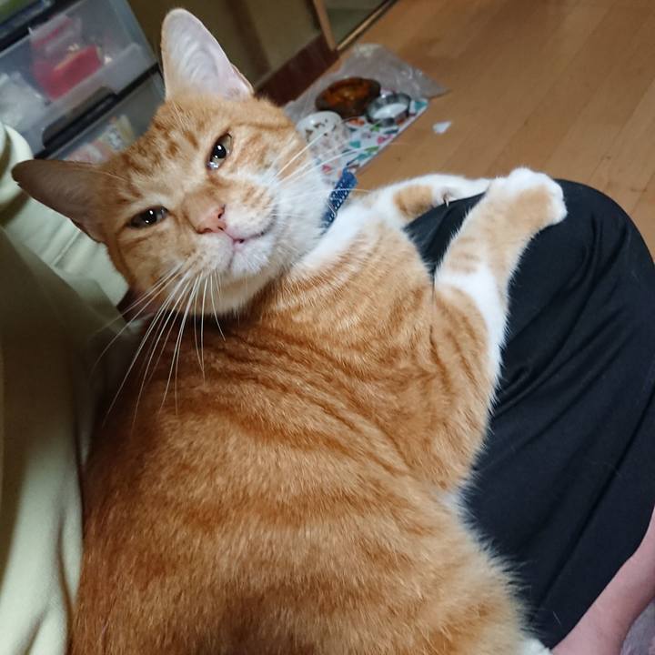 Ca6b8662 fb50 4414 993d 852f80de93d3 1602150746479