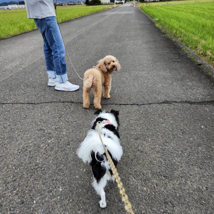 Ca6b8a7c 5075 4012 a1ae c6909ff961ef 1760851545198