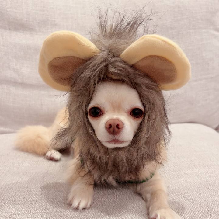 Ca6b8ed4 fbcd 42a4 99b8 4c4f1167cdb0 1719822702700