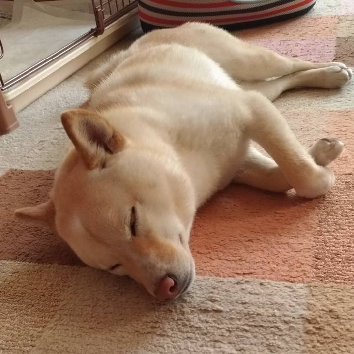 Ca6bd956 16f1 4254 9183 57e099dacddb 1558219692877