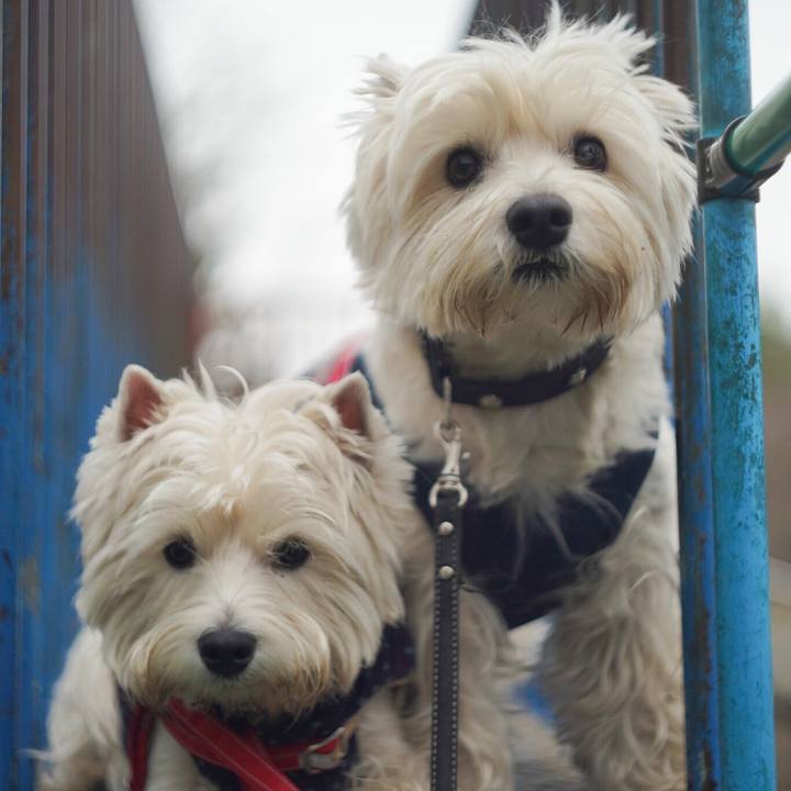 Ca6c29a4 5092 43f4 9df9 157f084d8eca 1519427043434