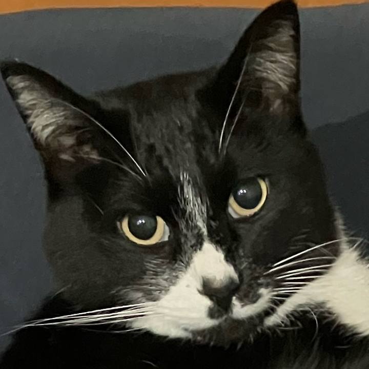 Ca6c3a47 b9e0 4f6e bf47 9db18aec7b36 1679121997549