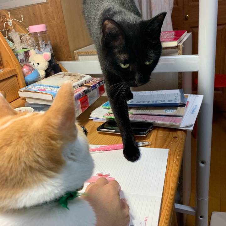 Ca6c412f a48e 4338 8b00 76b5ca596cbb 1560693239103