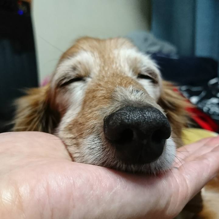 Ca6c536d dead 4799 9653 01122472472c 1517911881230