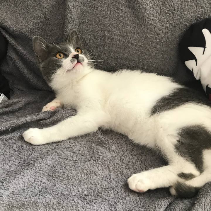 Ca6c64d6 647c 4ff3 ada0 4298c3102dcc 1627997563853