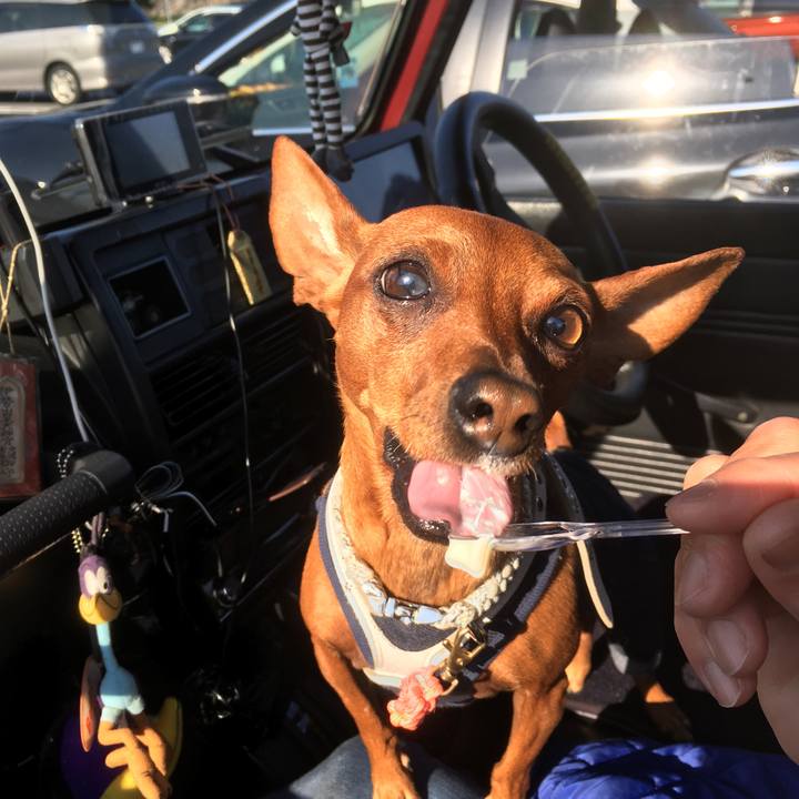 Ca6c707b efcb 4bd1 9c7b 9048a26c327b 1557223371717