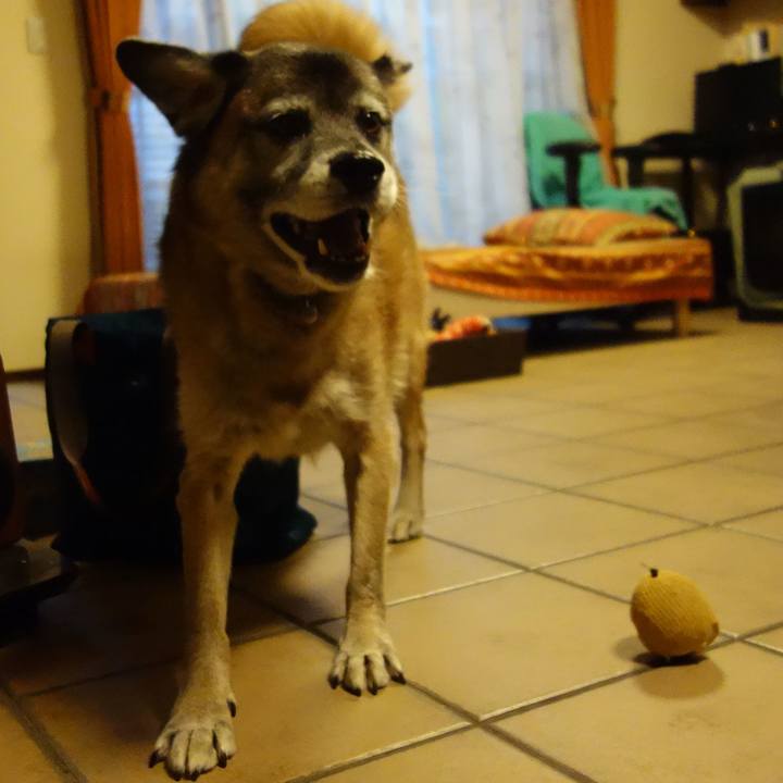 Ca6c7ee8 dcb6 41d6 a0b4 ec127af53917 1534936775037