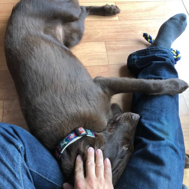 Ca6c897c 92e1 4f4d 96cd affe9ed9cb19 1558498788862