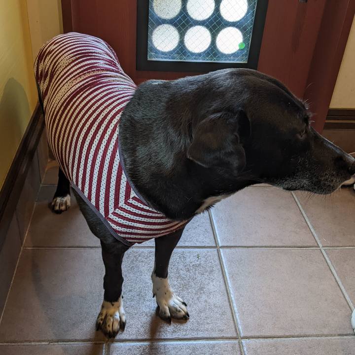 Ca6c8c70 83e0 4cb5 9bcc 8da664ef08f0 1687134451459