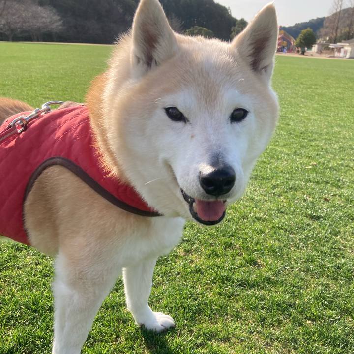 Ca6cb815 098c 4a9e 9e44 24d2861ab207 1698938911654