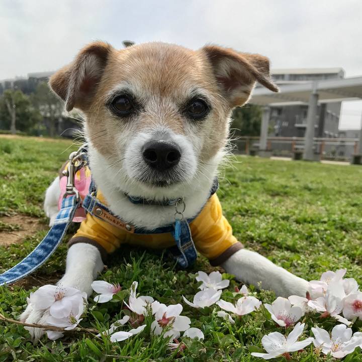 Ca6cd71c cfdc 4408 9f05 8d9526a6f7e8 1649637928657