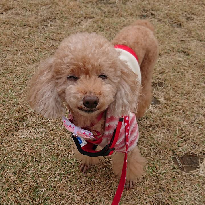 Ca6ceaa3 2912 4519 8e9a 1e3aba0b473e 1574564976857